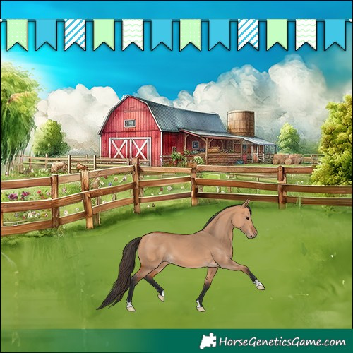 Horse Color:Bay Dun