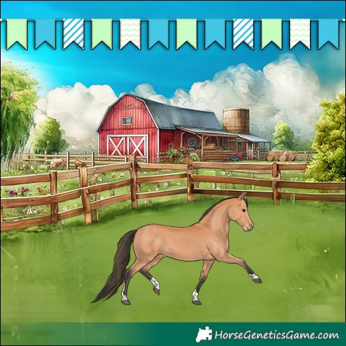 Horse Color:Bay Tobiano