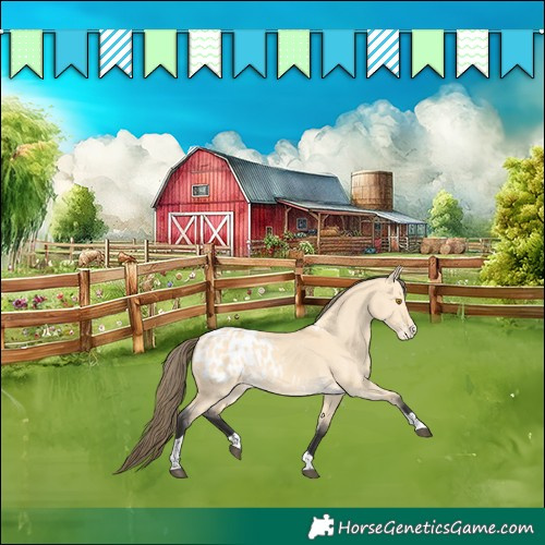Horse Color:Buckskin Dun Tobiano Blanket