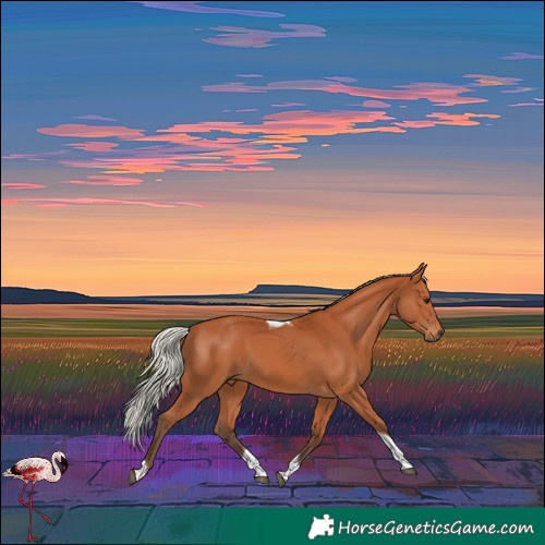 Horse Color:Silver Bay Tobiano 