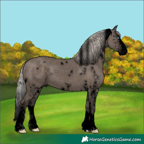 Horse Color:Void White Spotted Silver Grullo Splash 