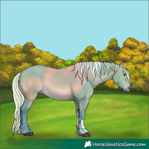 Horse Color:Watercolor Silver Brown Dun Sabino Tobiano