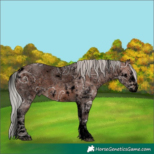 Horse Color:Void White Spotted Silver Brown Ice