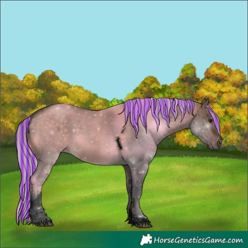 Horse Color:Void Painted White Spotted Silver Brown Dun Tobiano 