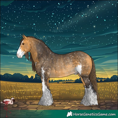 Horse Color:Buckskin Sabino Snowflake VarnishRabicano 