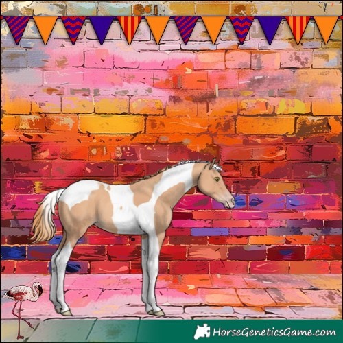 Horse Color:Gold Champagne Tobiano