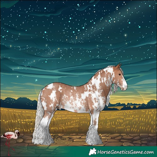 Horse Color:White Spotted Silver Bay Sabino Rabicano 