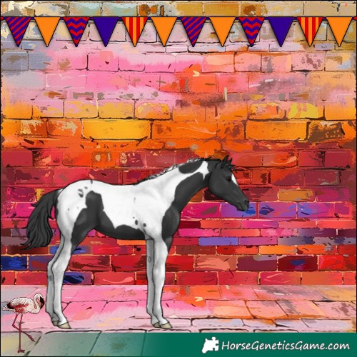 Horse Color:Black Tobiano