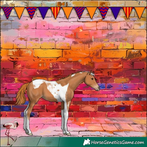 Horse Color:Chestnut Tobiano 