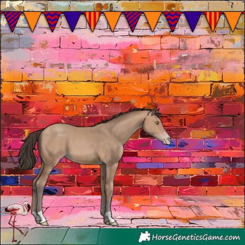 Horse Color:Amber Champagne 