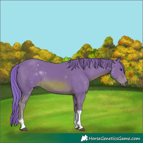 Horse Color:Watercolor Chestnut Tobiano 