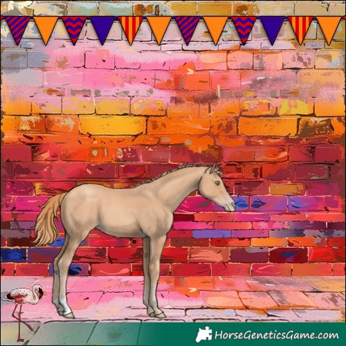 Horse Color:Gold Champagne