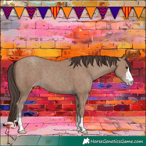 Horse Color:Classic Champagne 
