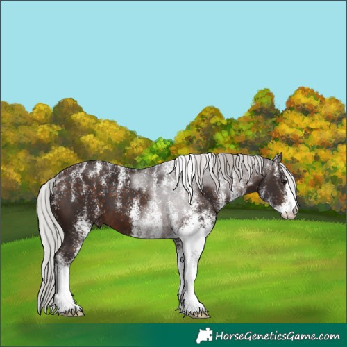 Horse Color:Powder White White Spotted Silver Brown