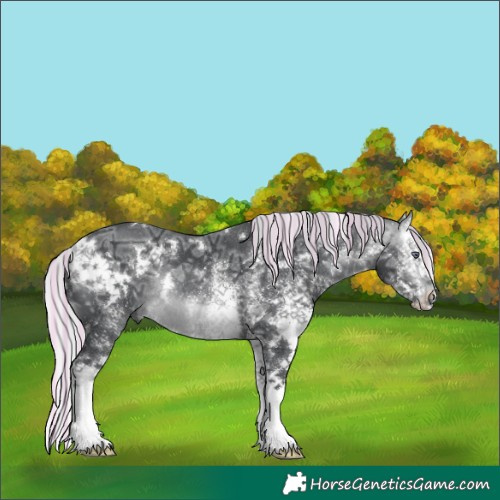 Horse Color:Painted White Spotted Silver Brown Chinchilla Ice Splash Rabicano