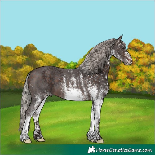 Horse Color:White Spotted Silver Brown 