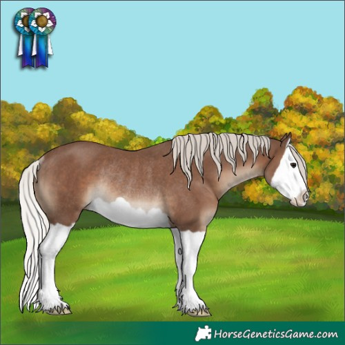 Horse Color:Silver Black Splash Rabicano