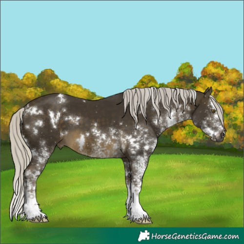 Horse Color:White Spotted Silver Buckskin Splash