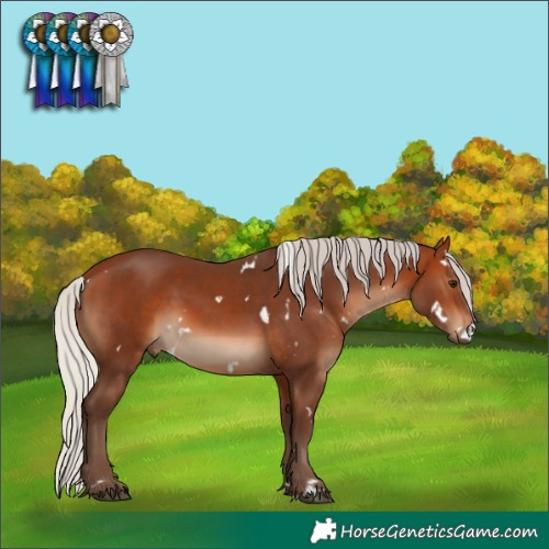 Horse Color:White Spotted Silver Brown Rabicano