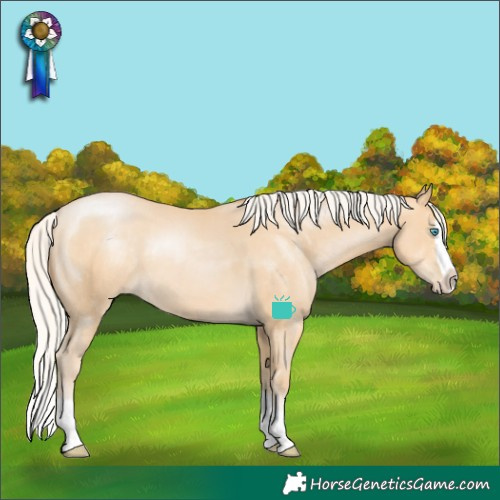 Horse Color:Silver Buckskin Pearl Splash