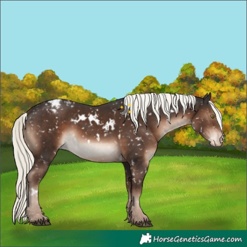 Horse Color:White Spotted Liver Chestnut Mushroom Blanket