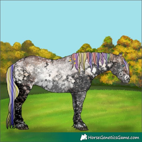 Horse Color:Void Painted White Spotted Chocolate Silver Brown Ice Onyx Splash Tobiano Brindle 