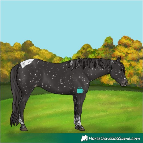 Horse Color:Smoky Black Tobiano Snowflake Varnish
