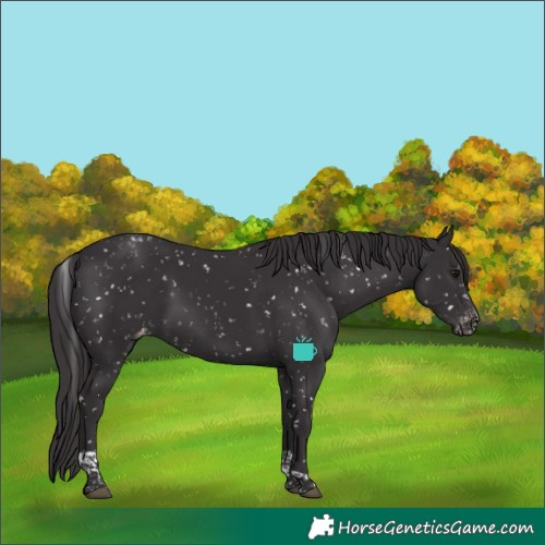 Horse Color:Smoky Black Tobiano Snowflake Varnish