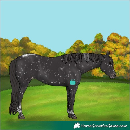 Horse Color:Smoky Black Tobiano Snowflake Varnish