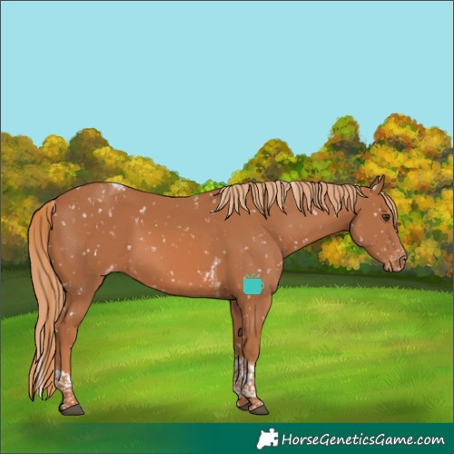 Horse Color:Chestnut Tobiano Snowflake Varnish