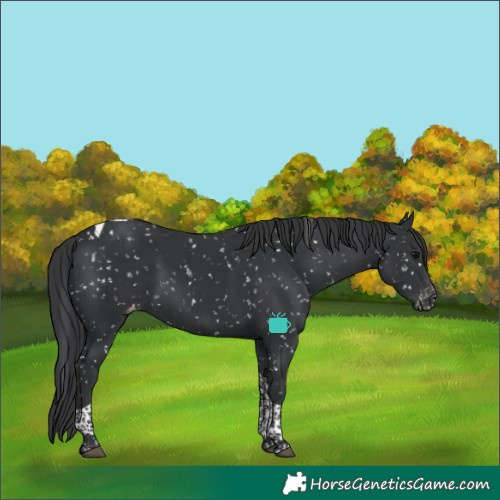 Horse Color:Black Tobiano Snowflake Varnish