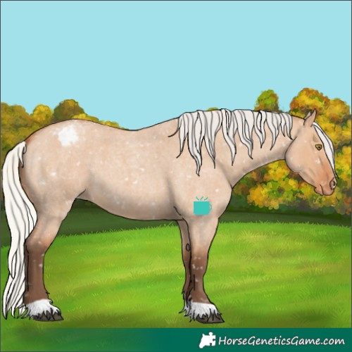Horse Color:Silver Bay Roan Dun Snowflake Varnish
