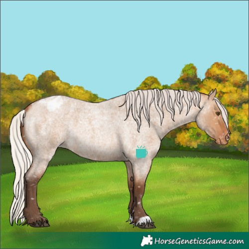 Horse Color:Silver Bay Roan Dun Snowflake Varnish Rabicano 