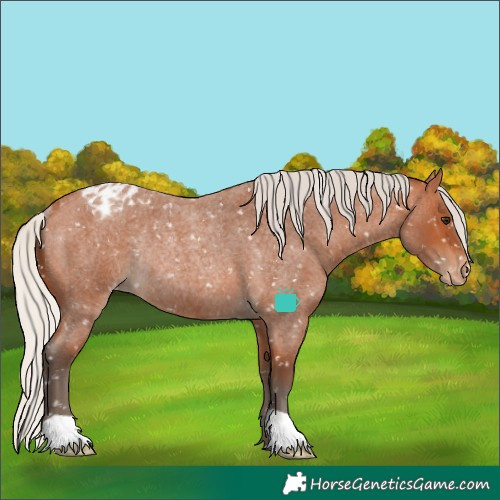 Horse Color:Silver Bay Roan Blanket Rabicano