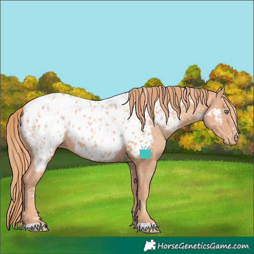 Horse Color:Gold Champagne Near Leopard
