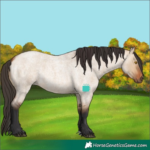 Horse Color:Bay Roan Dun Rabicano 