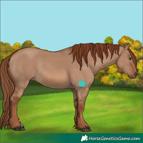 Horse Color:Red Dun Rabicano
