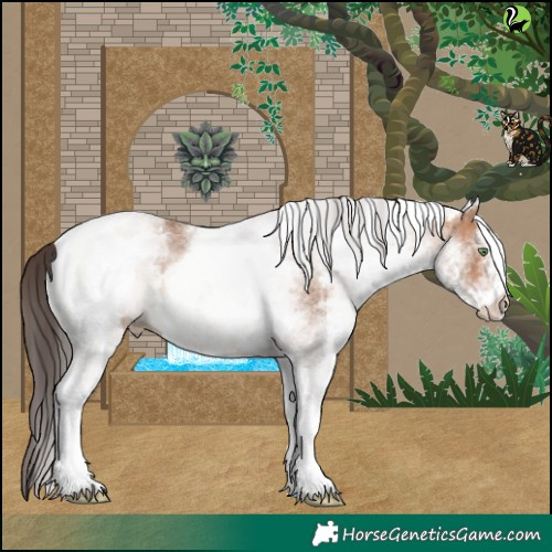 Horse Color:White Spotted Sable Champagne 