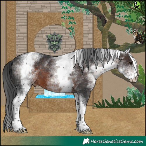 Horse Color:White Spotted Brown Varnish