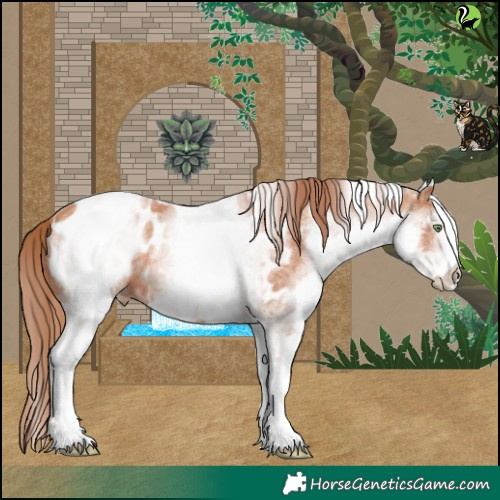 Horse Color:White Spotted Gold Champagne Blanket 