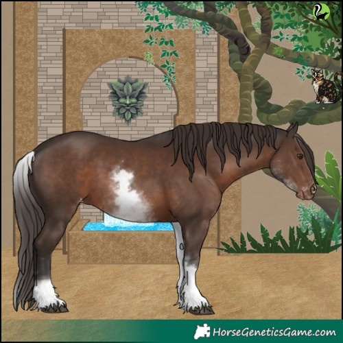 Horse Color:White Spotted Liver Chestnut Varnish 