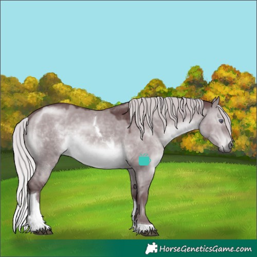 Horse Color:Chocolate Silver Brown Chinchilla Dun Tobiano 