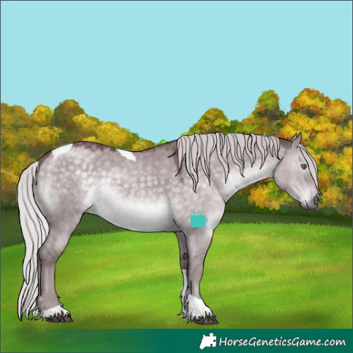 Horse Color:Chocolate Silver Grullo Chinchilla Tobiano 
