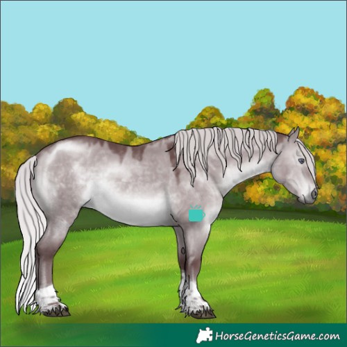 Horse Color:Chocolate Silver Brown Chinchilla Dun Tobiano