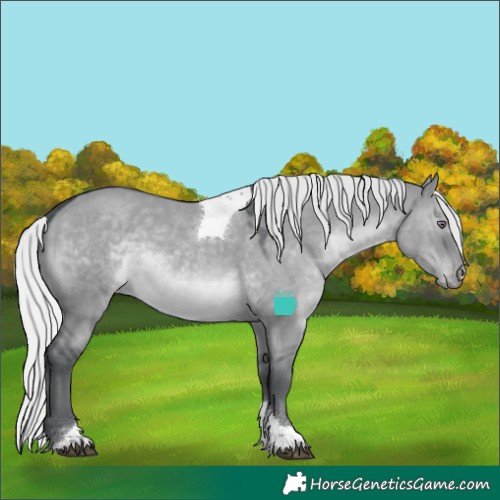 Horse Color:Silver Grullo Chinchilla Tobiano Varnish