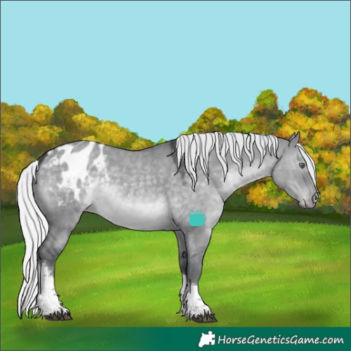Horse Color:Silver Grullo Chinchilla Tobiano Blanket