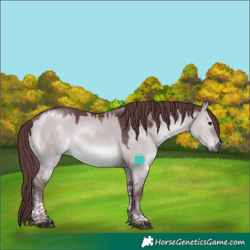 Horse Color:Chocolate Grullo Chinchilla Tobiano