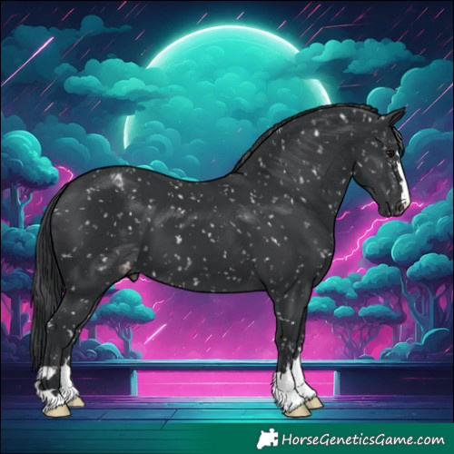 Horse Color:Black Snowflake Varnish