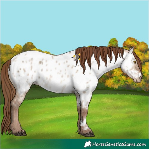 Horse Color:Brown Ice Pearl Dun Near Leopard