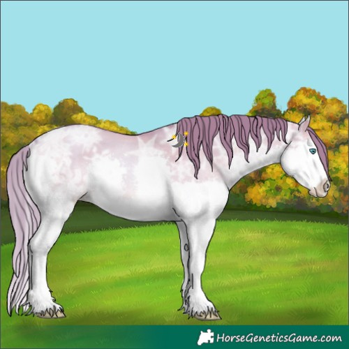 Horse Color:Watercolor White Spotted Grullo Ice Pearl Splash 